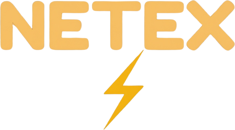 NETEX INTERNACIONAL